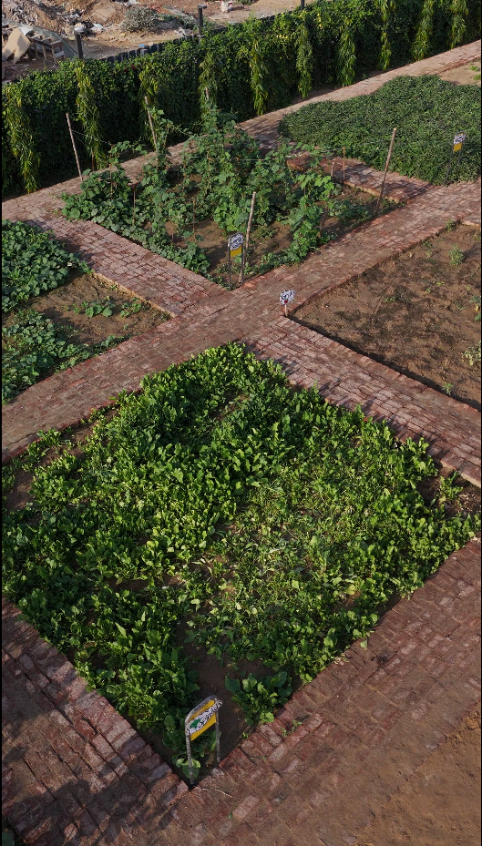 Farm