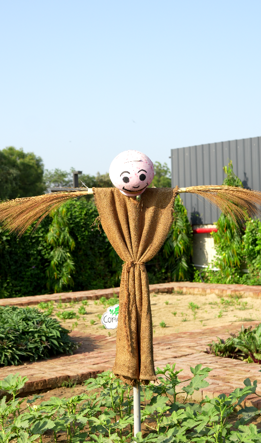 Farm
