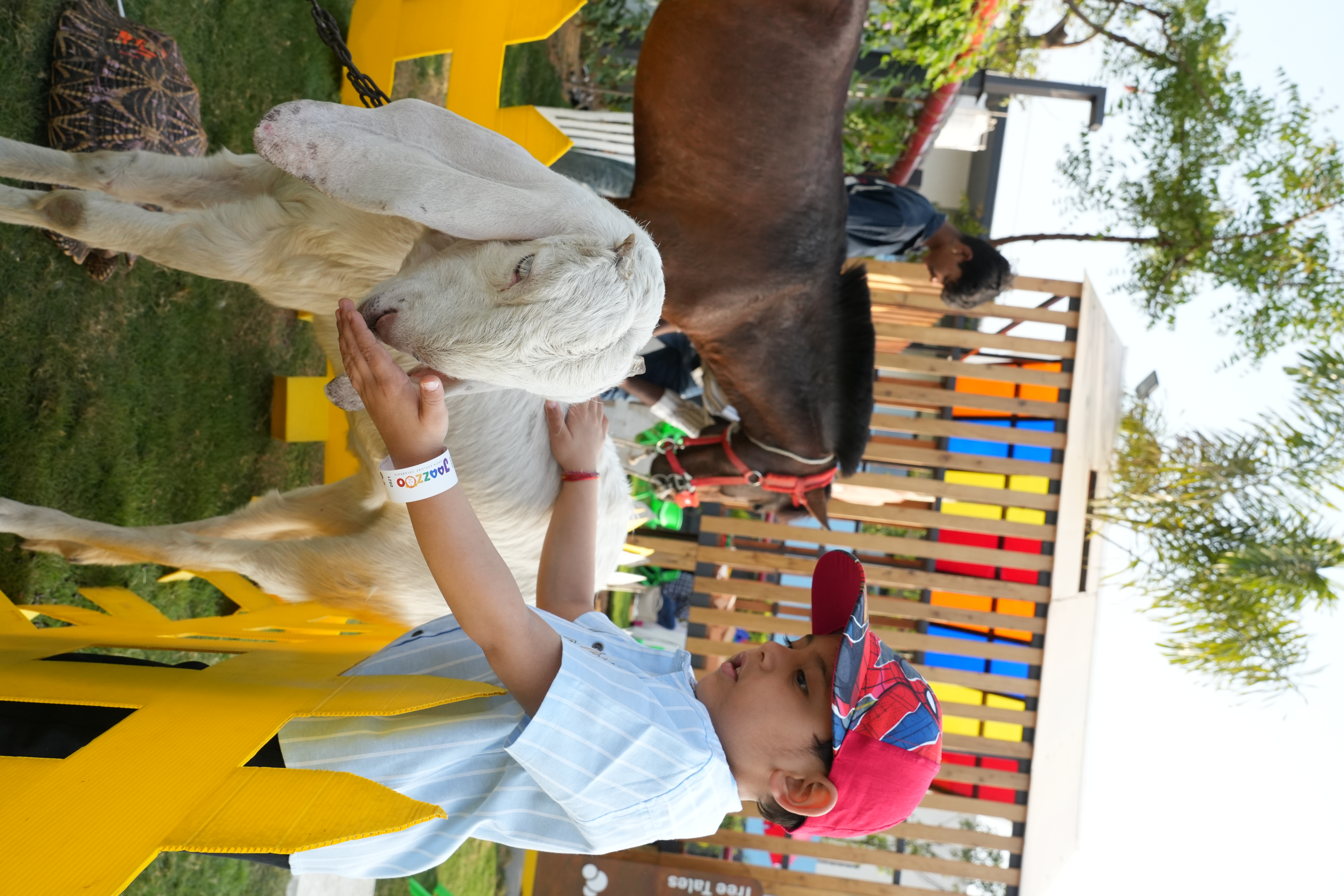 Farm Frolic