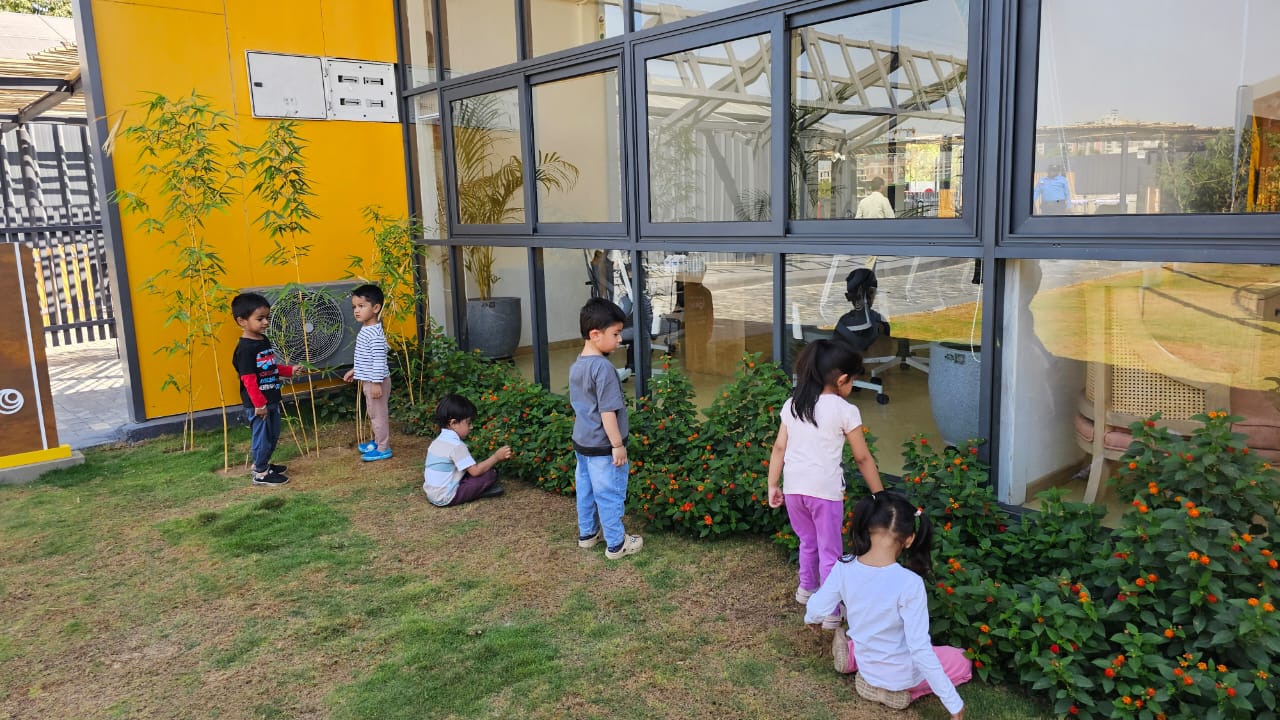 Pre-K 1